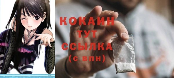 спиды Гусь-Хрустальный