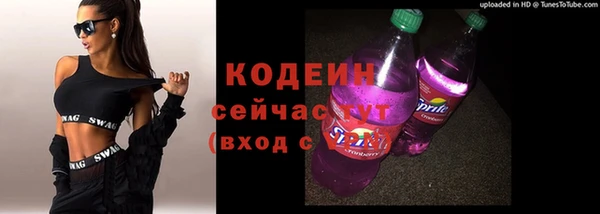 молекула духа Гусиноозёрск