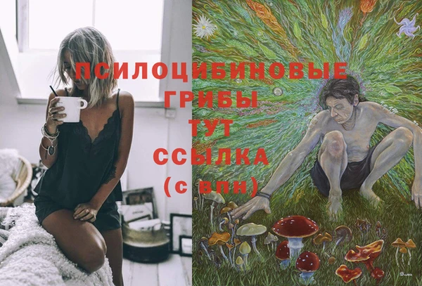 молекула духа Гусиноозёрск