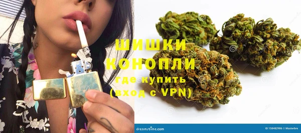 молекула духа Гусиноозёрск