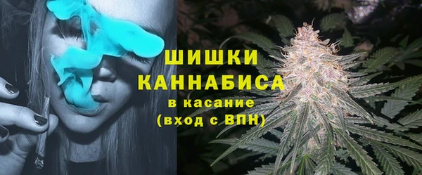 молекула духа Гусиноозёрск