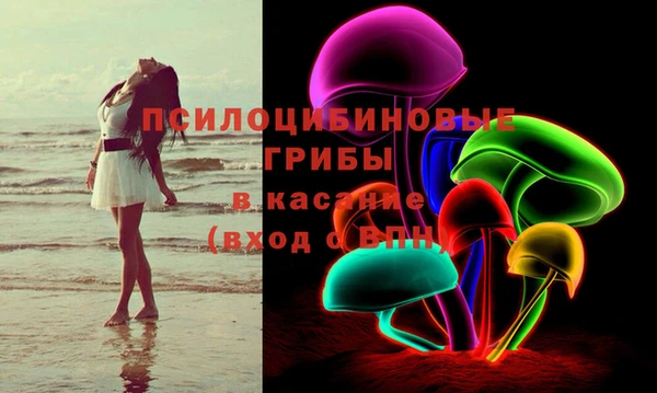 молекула духа Гусиноозёрск