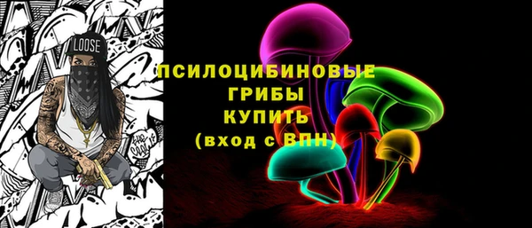 спиды Гусь-Хрустальный