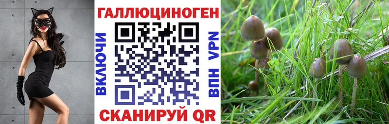 цена Углегорск Псилоцибиновые грибы мухоморы